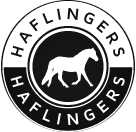 Haflingers